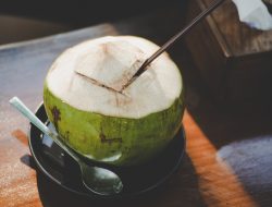 Manfaat Air Kelapa untuk Kesehatan: Rahasia Hidrasi Alami yang Kaya Nutrisi