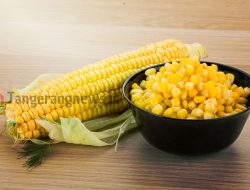Nasi Jagung: Menggali Manfaat Tersembunyi di Balik Butiran Emasnya