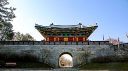 Tips Persiapan Pertama Kali Ikut Tour Liburan ke Korea Selatan 2026